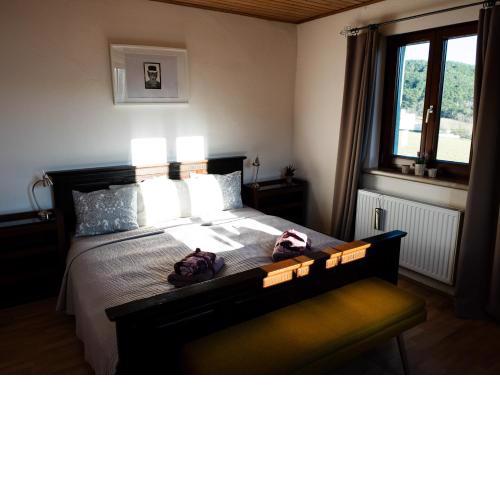 Apartment 43