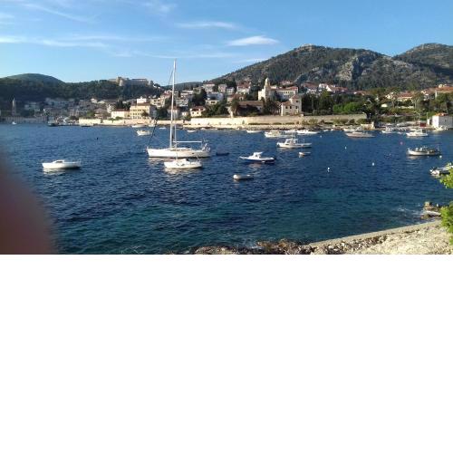 Apartment and rooms Hvar Vijola