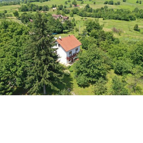 Apartment and Rooms Ivancica