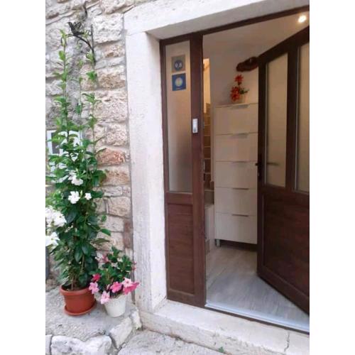 Apartment Ane