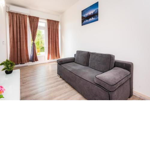 Apartment ANI 1