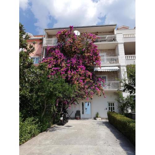 Apartment Anita