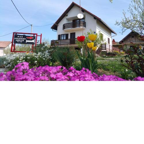 Apartment Ankica