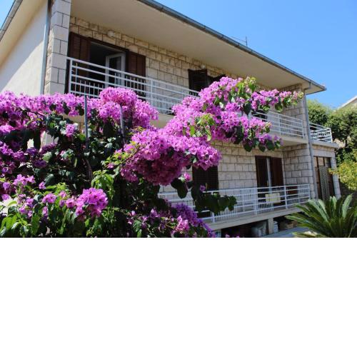 Apartment Antica