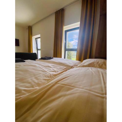 Apartment Arber Šumava