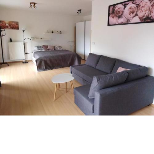 Apartment Archa Poděbrady