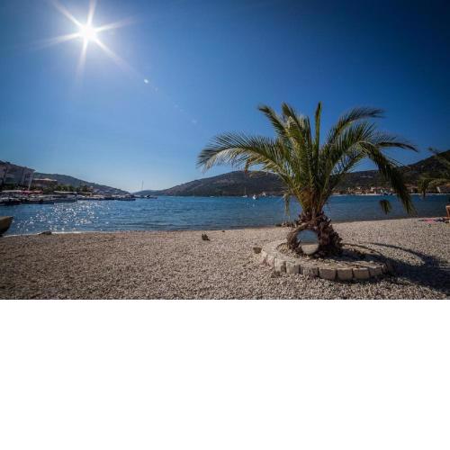 Apartment ASTRID 5 m from BEACH