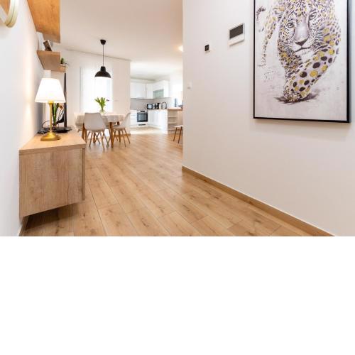Apartment Bellezza