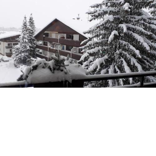 Apartment Bergblick 2