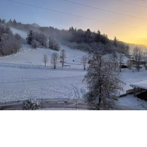 Apartment „Bergblick“