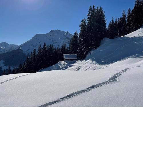 Apartment between Mayrhofen and Finkenberg