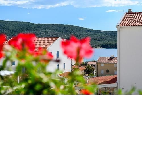 Apartment Bine