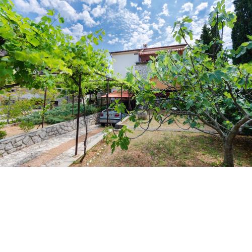 Apartment Bozena