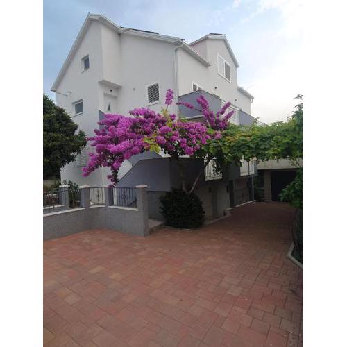 Apartment Bozovic