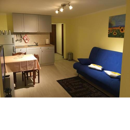 Apartment Branka