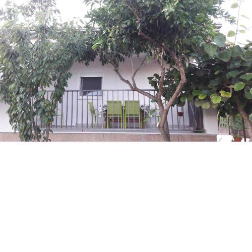 Apartment Branko