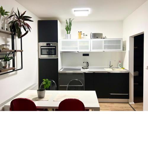 Apartment Brno- BBQ terrace