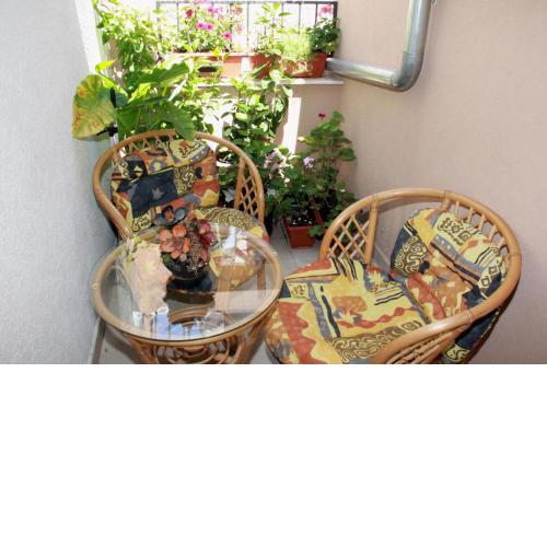 Apartment Bucevic