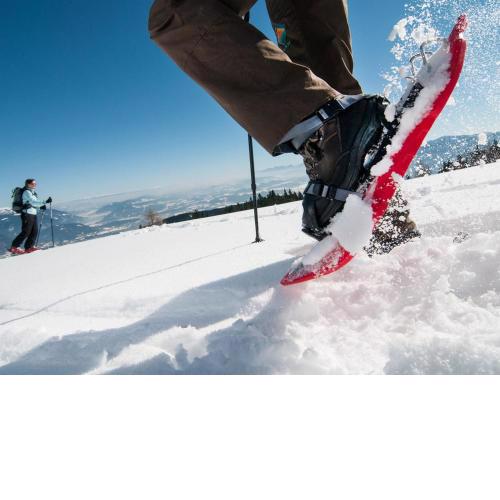 Apartment Burgblick alpe maritima Ski & See-Top 26 by Interhome