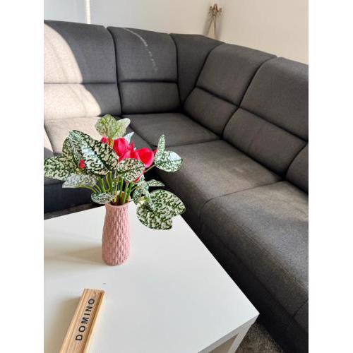Apartment C25