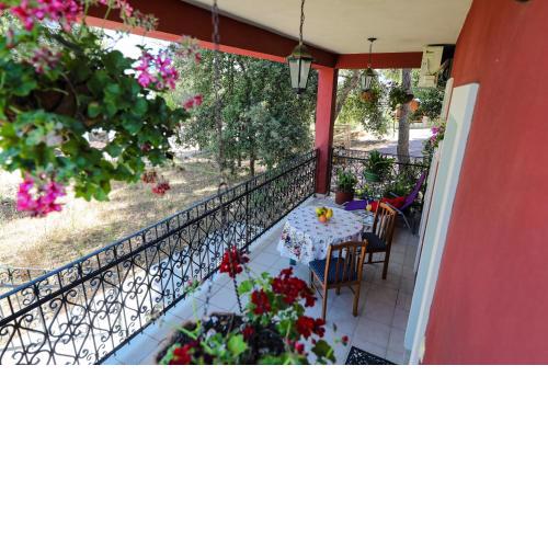 Apartment Corto