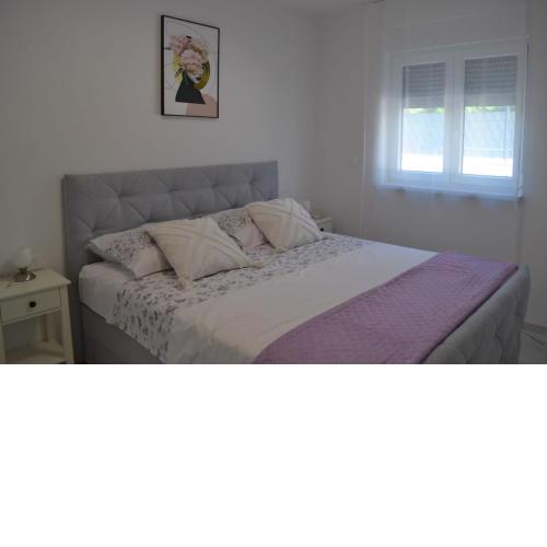 Apartment Cvit