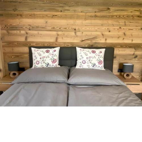 APARTMENT DACHSTEIN - neu im Haus Wieseneck - direkt an der LOIPE
