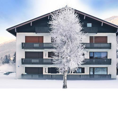 Apartment Dachstein-3 by Interhome