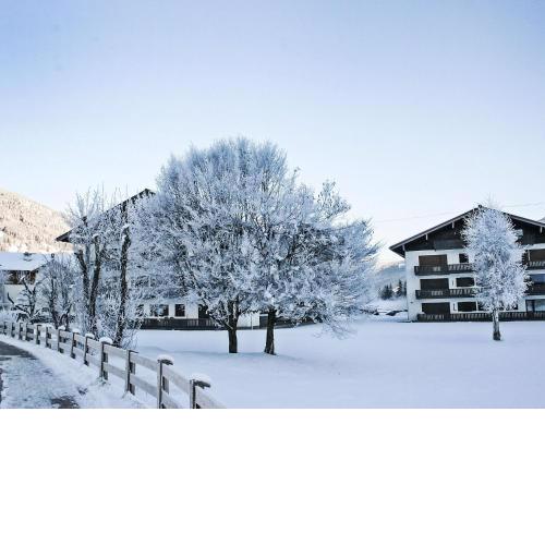 Apartment Dachstein-4 by Interhome