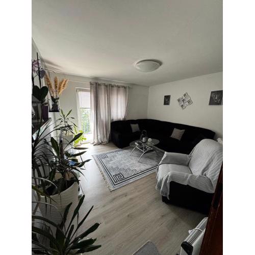 Apartment Danijela