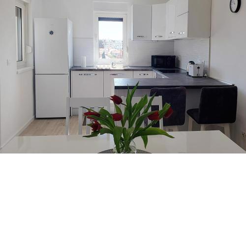 Apartment Dino