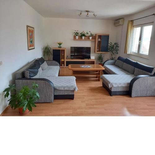 Apartment Dube