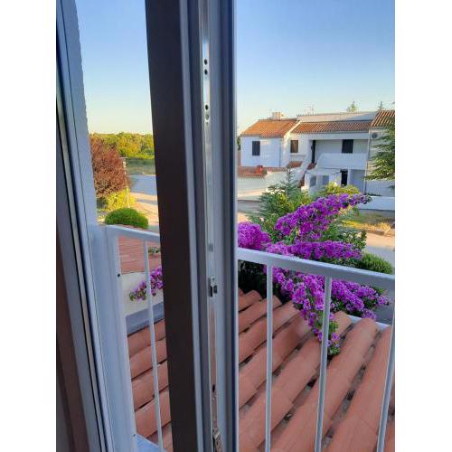 Apartment Enis