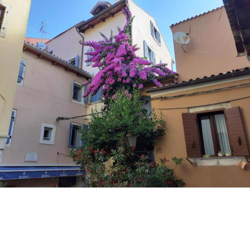 Apartment Eufemia