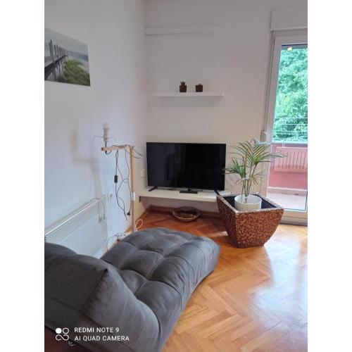 Apartment five minutes from city center