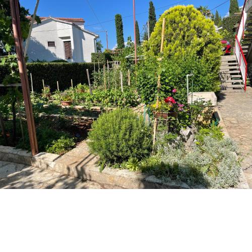 Apartment Fortuna in Malinska- 100m from the beach