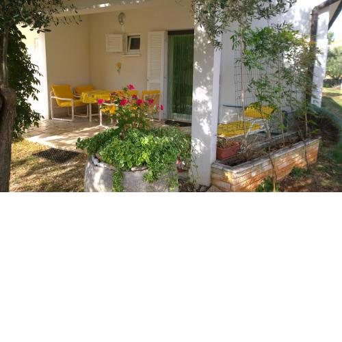 Apartment Free Parking Big Garden