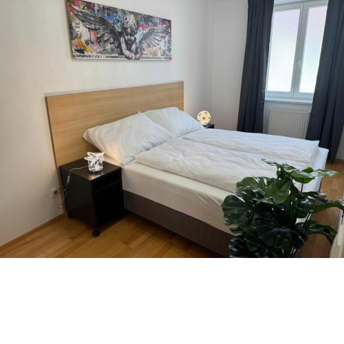 Apartment für 3 beim Westbahnhof