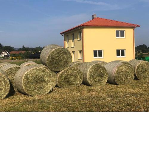 Apartment Gartenblick