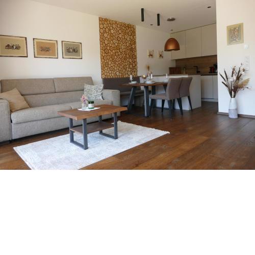 Apartment Grimmingpanorama