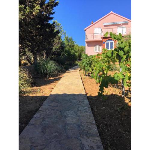Apartment Grubelic