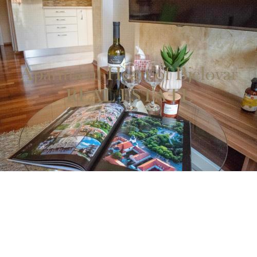 Apartment Heart of Bjelovar