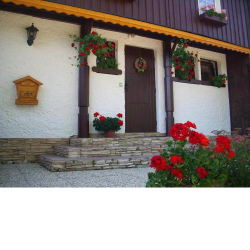 Apartment Herlikovice