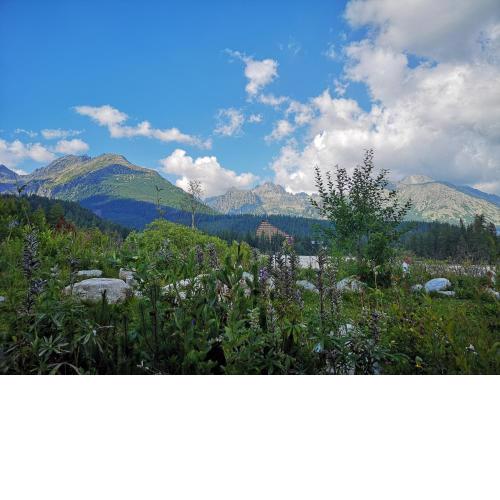 Apartment High Tatras
