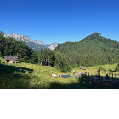 Apartment Hochsteinalm