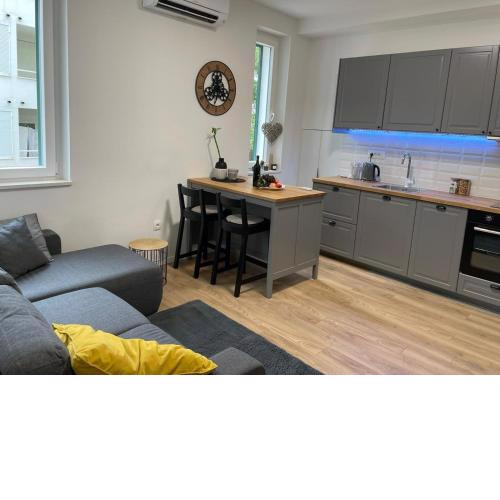 Apartment in city center 2