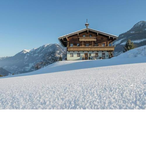 Apartment in Embach Austria near ski area
