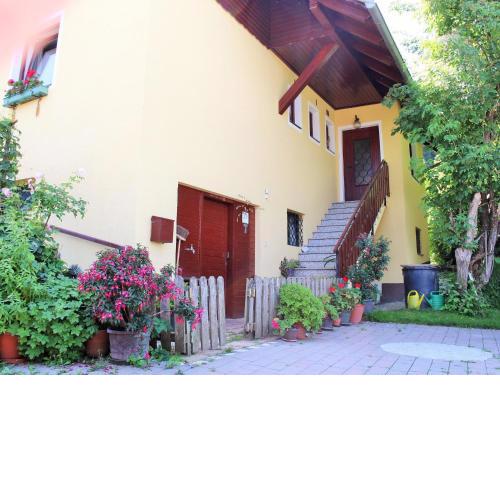 Apartment in Koettmannsdorf near bathing lake