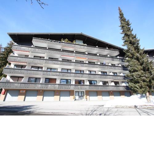 Apartment in Maria Alm near ski area