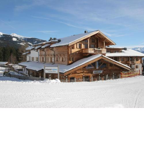 Apartment in Mittersill near the ski area